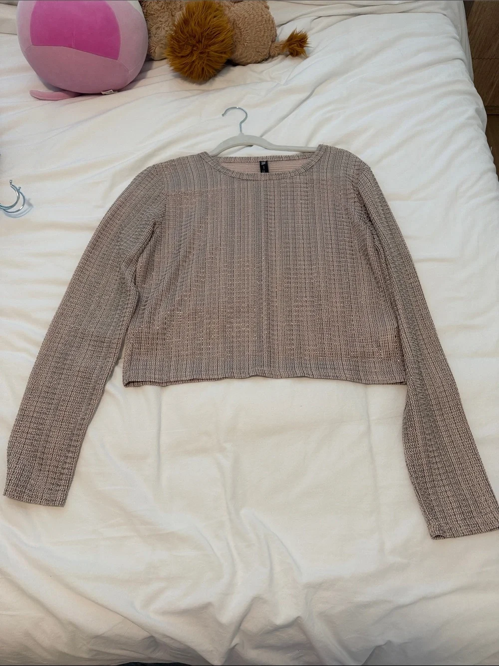 Zara Blush Beige Cropped Knit Long Sleeve Top